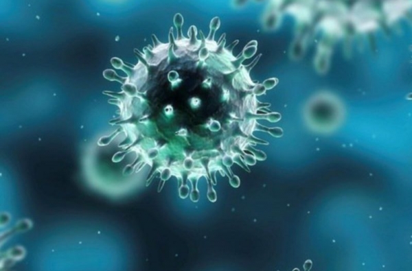 Cúm mùa: Những thông tin cần biết nhằm ngăn chặn dịch bệnh