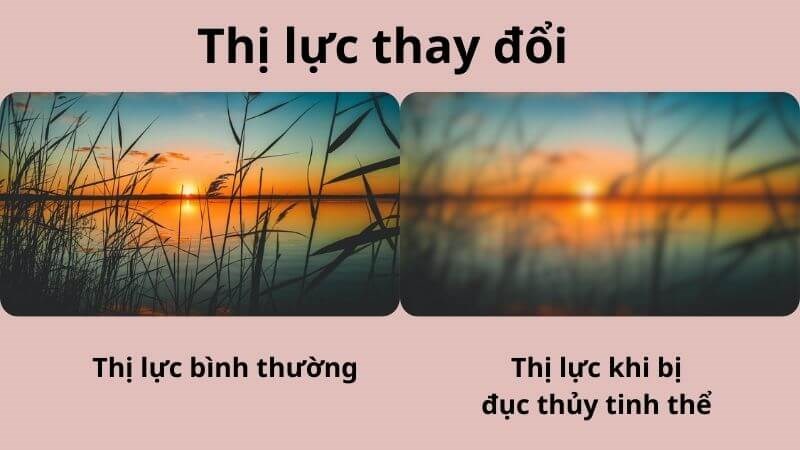 duc-thuy-tinh-the4-800x450